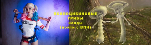 ГАЛЛЮЦИНОГЕННЫЕ ГРИБЫ Михайлов