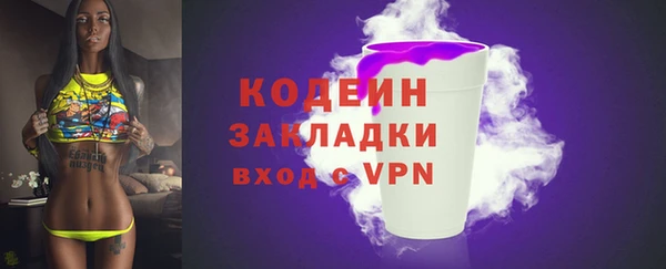 ГАЛЛЮЦИНОГЕННЫЕ ГРИБЫ Михайлов