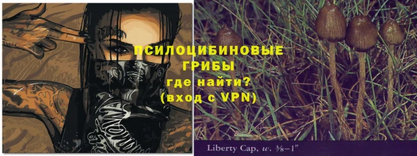 ГАЛЛЮЦИНОГЕННЫЕ ГРИБЫ Михайлов