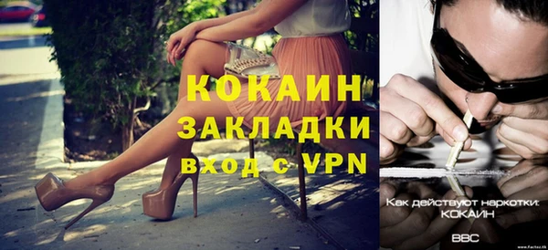 ГАЛЛЮЦИНОГЕННЫЕ ГРИБЫ Михайлов