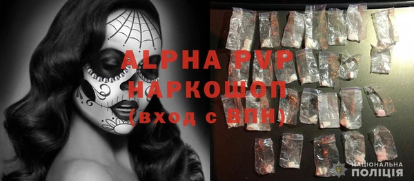 ГАЛЛЮЦИНОГЕННЫЕ ГРИБЫ Михайлов