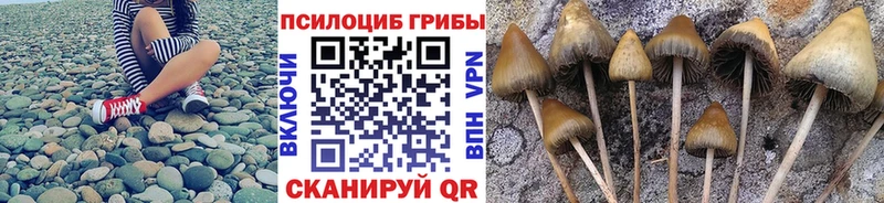 OMG ТОР  Старая Русса  Псилоцибиновые грибы Magic Shrooms  магазин продажи  